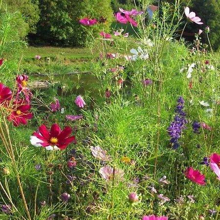 With 1 Bedroom Apartment Rottweil