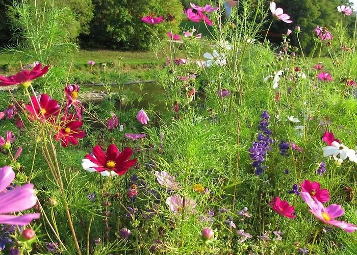 With 1 Bedroom Apartment Rottweil