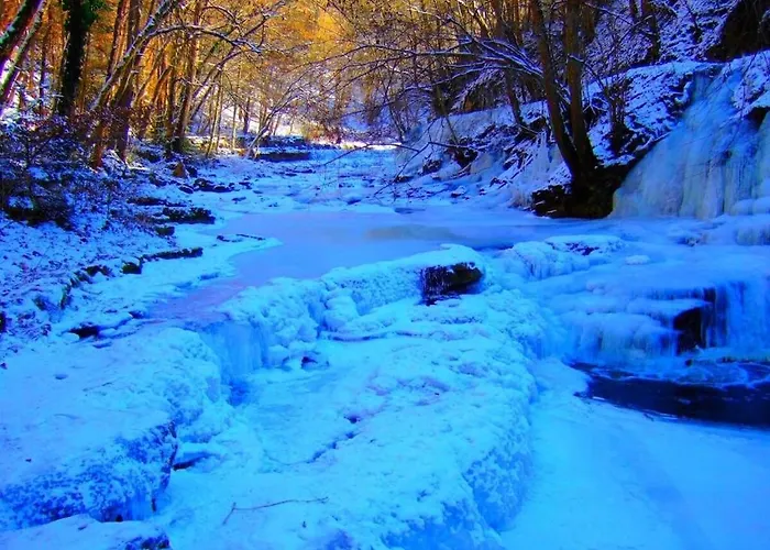 With 1 Bedroom Apartment *